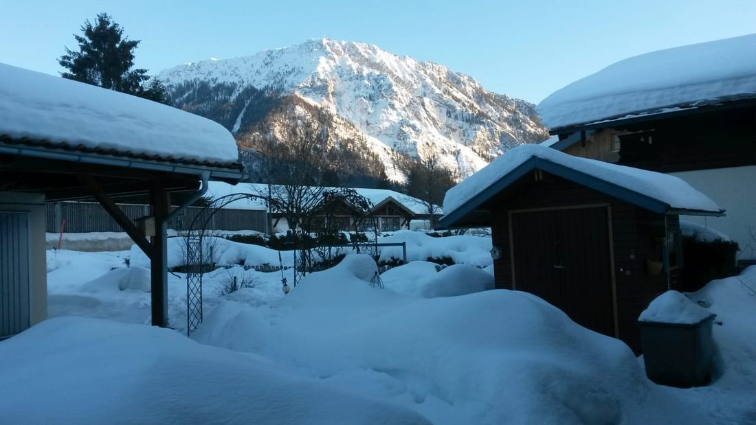 Blick auf den Rauschberg vom Garten