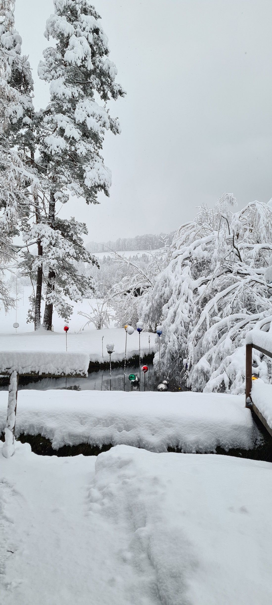 Garten im Winter