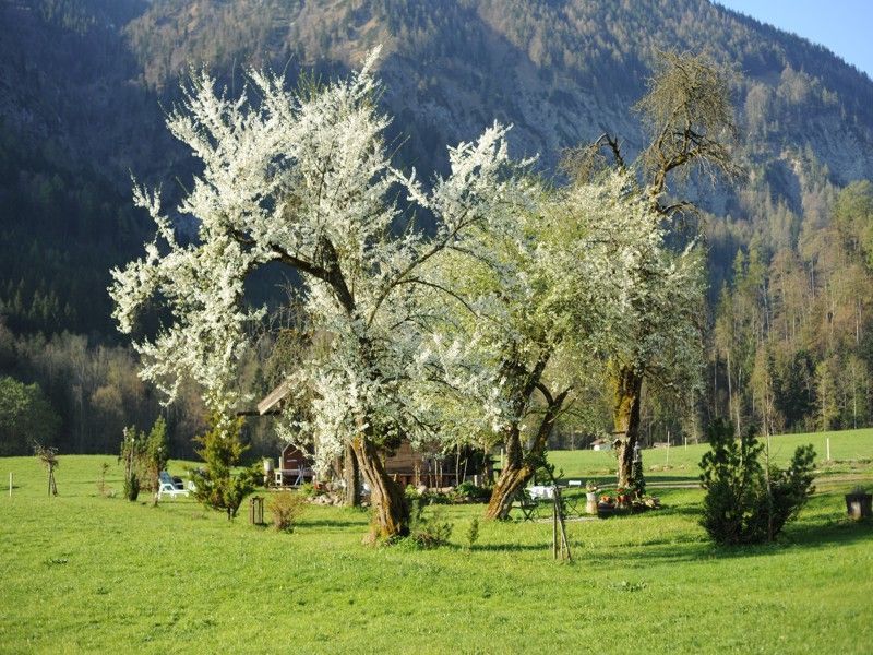 Erholen in unserem Garten