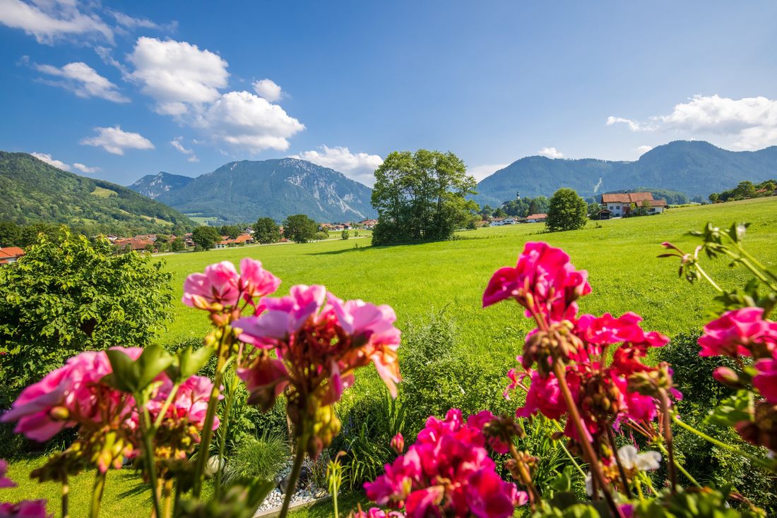 Blumen auf dem Balkon / Sommer in Ruhpolding
