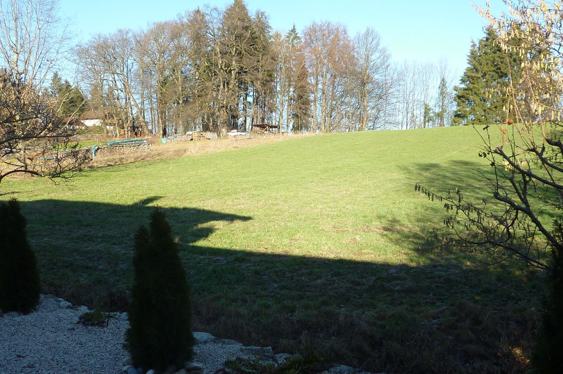 Wiese am Garten Blick Richtung Übersee