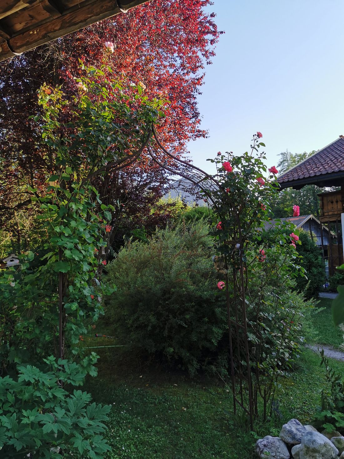 Haus