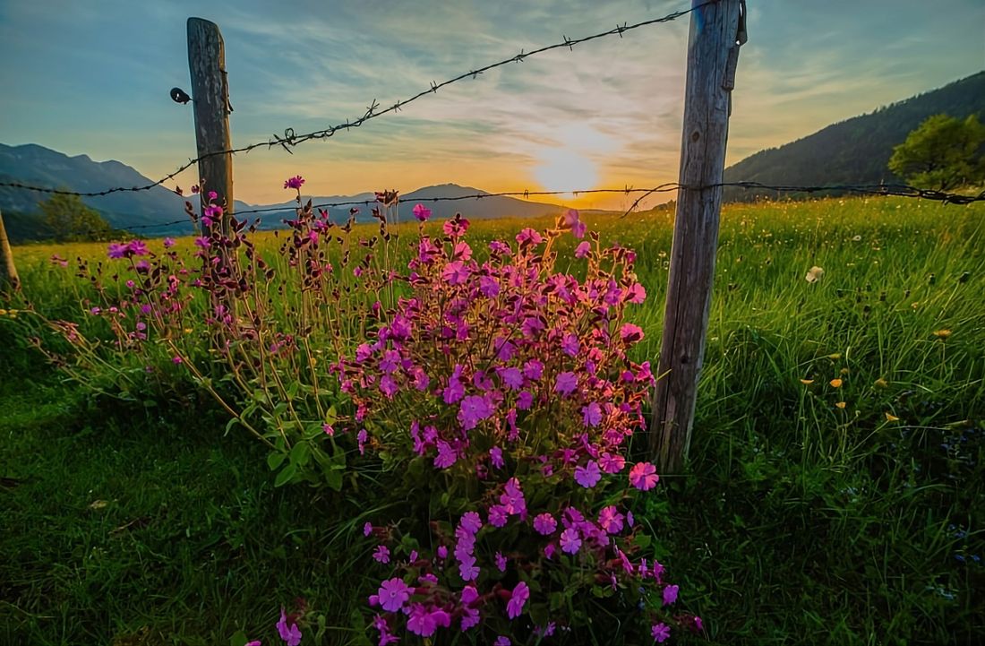 SONNENUNTERGANGSSTIMMUNG