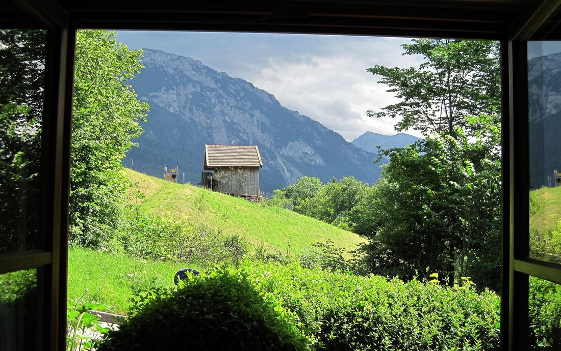 Ausblick