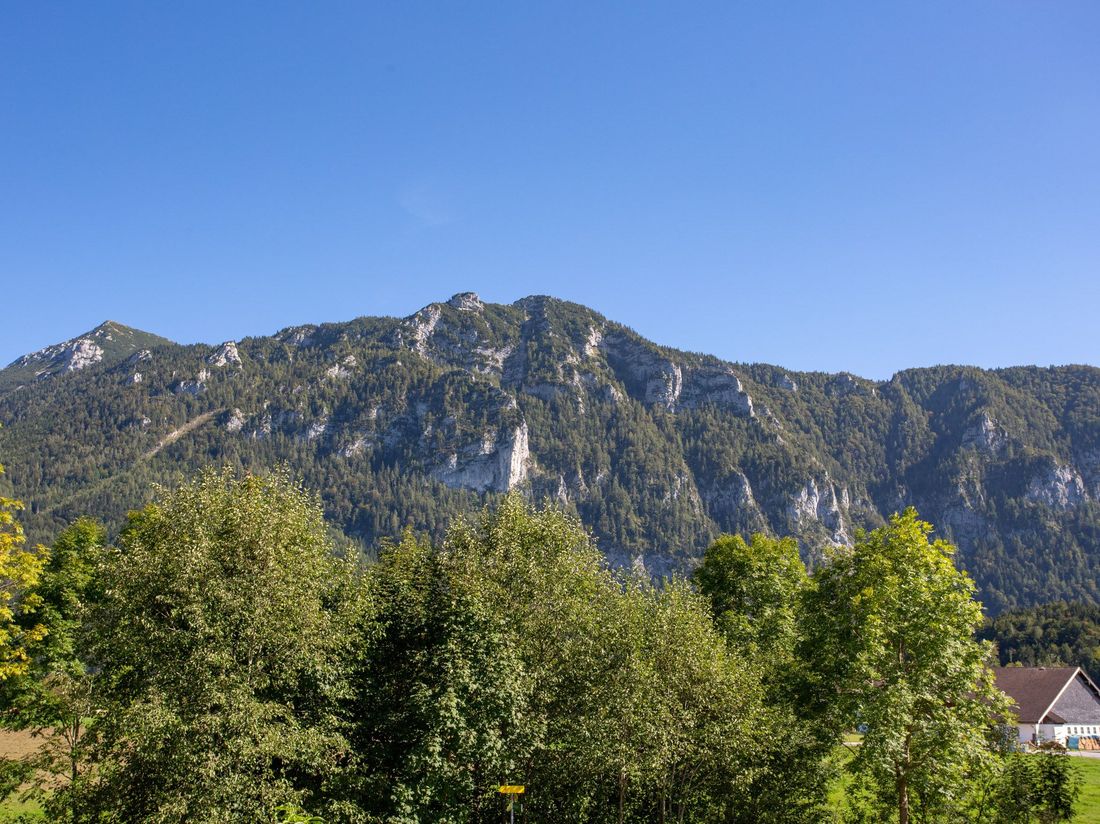Blick auf den Gamskogel
