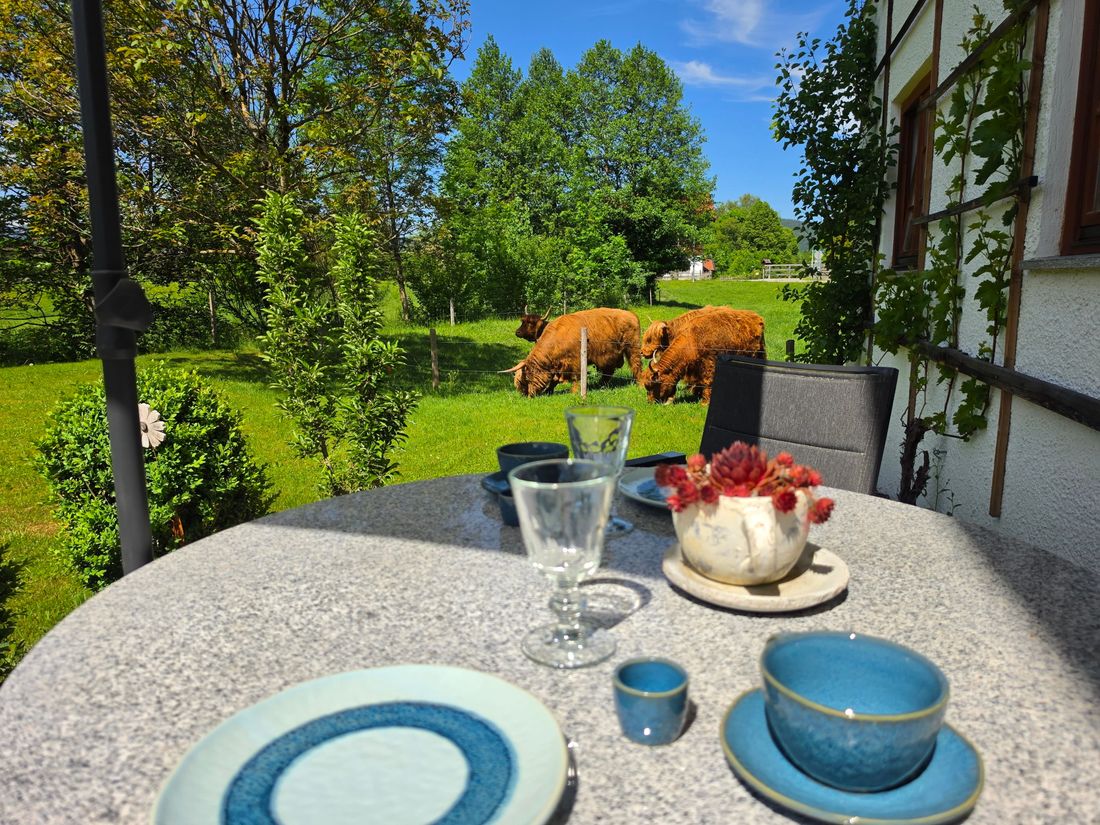 Ausblick Terrasse in der Fewo Mühlenrad zu unseren Hochlandrindern