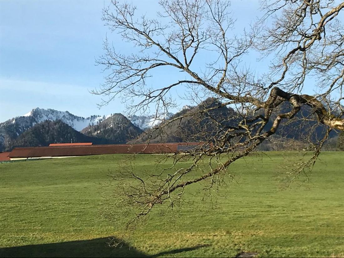 Ausblick auf Hochfelln