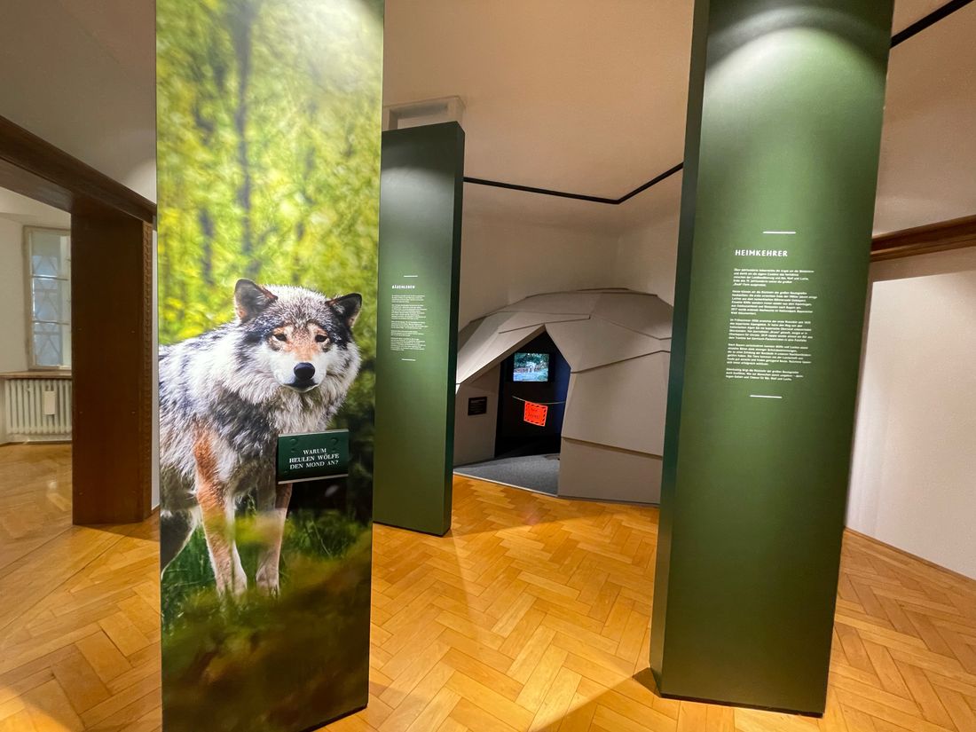 Heimatmuseum_Wölfe