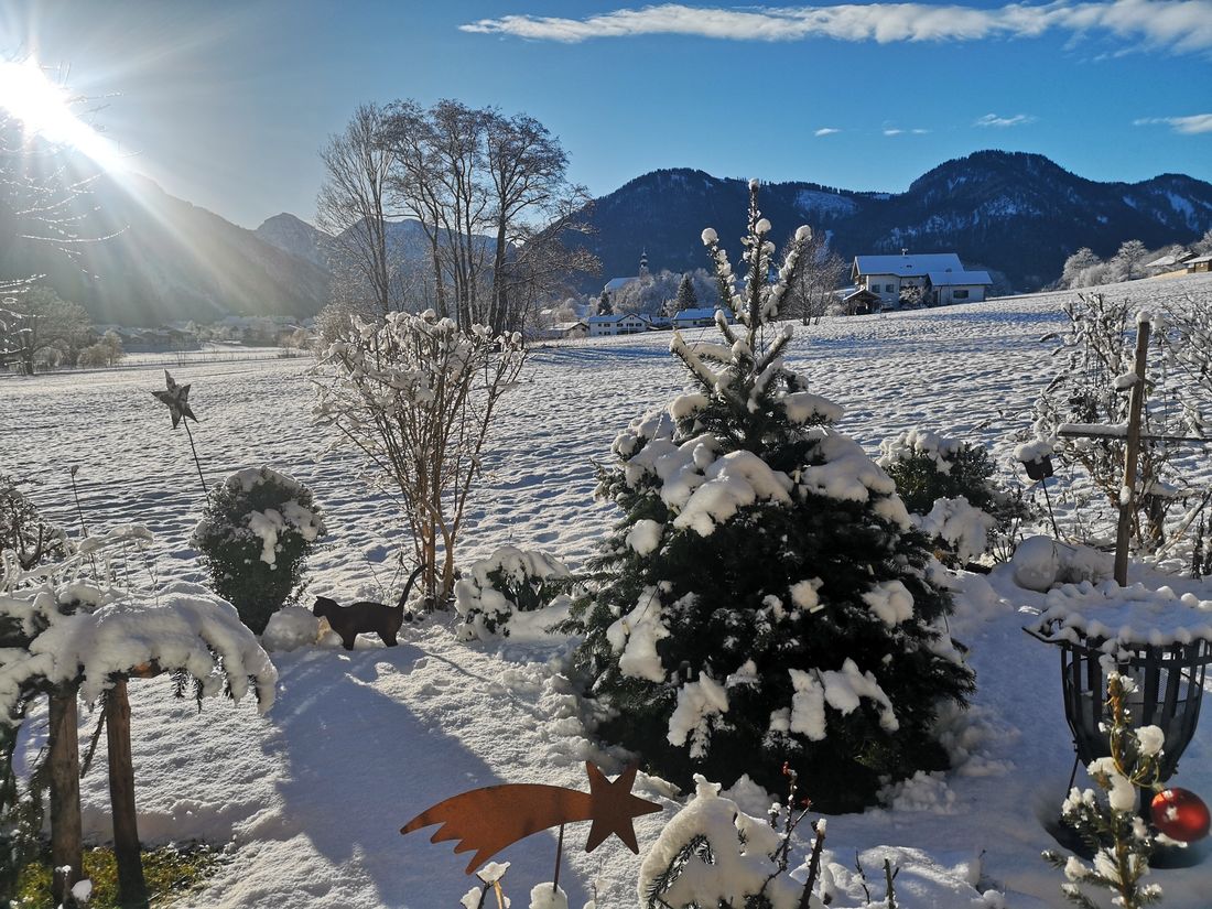 Garten im Winterkleid