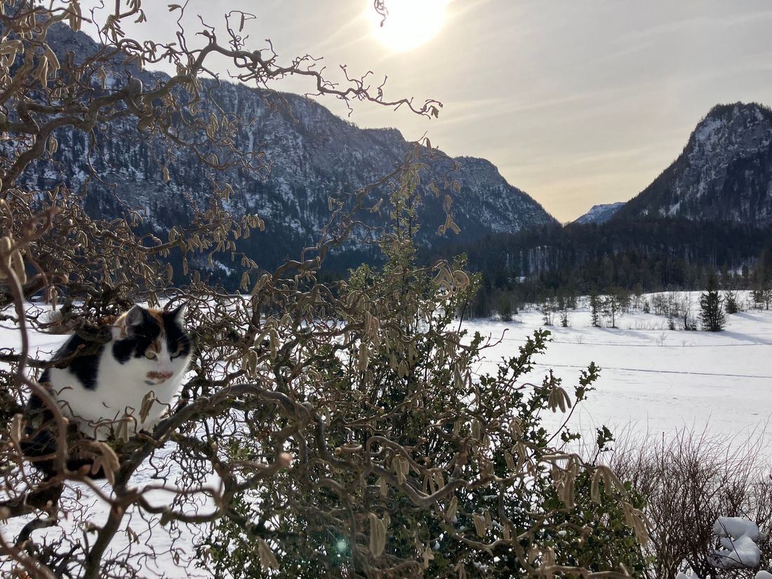 Impressionen