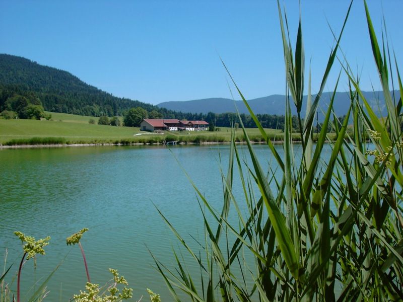 Baden...Angeln...Relaxen...