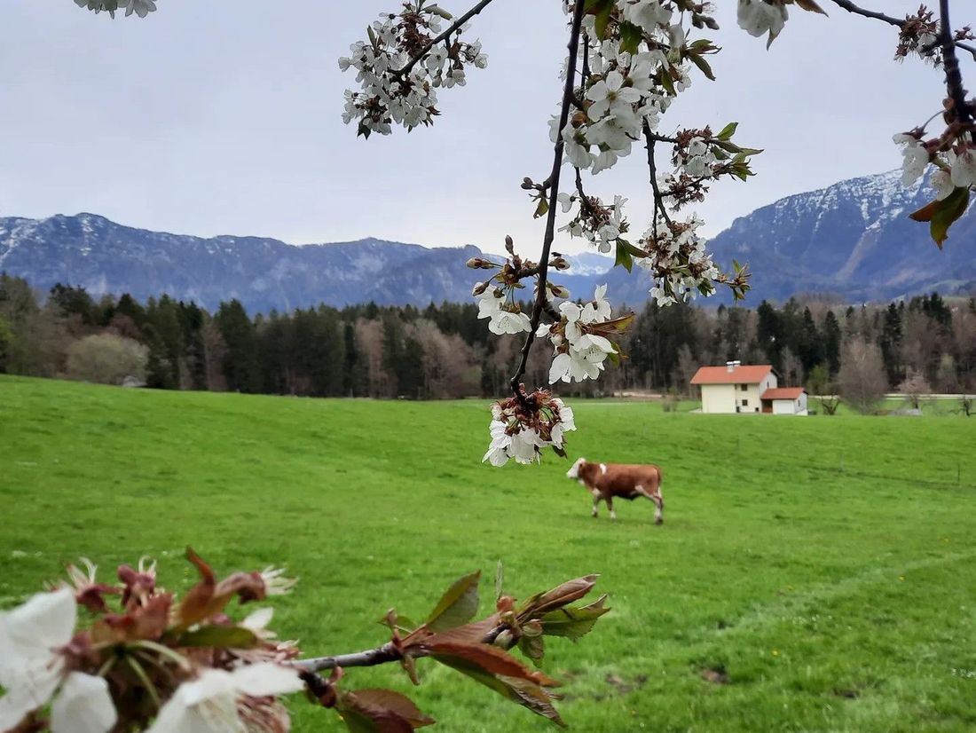 Bergpanorama