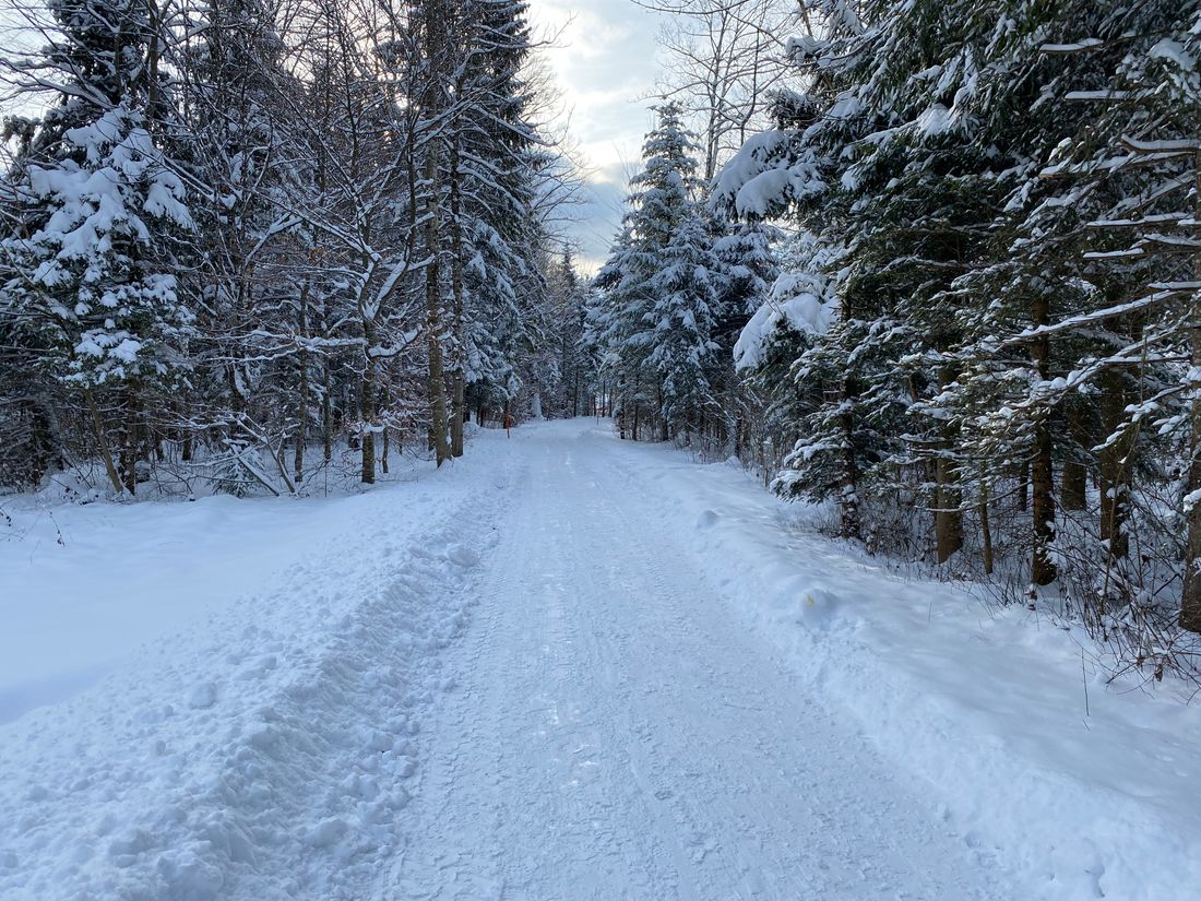 Wintertraum