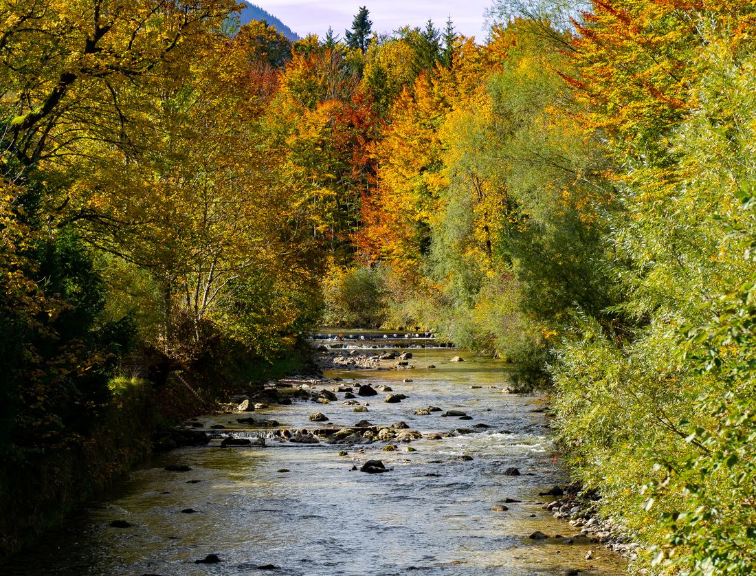 Herbstlandschaft im Ort