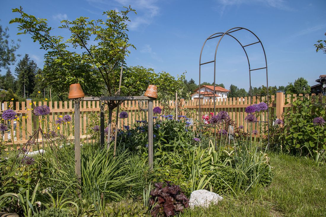 Unser Garten