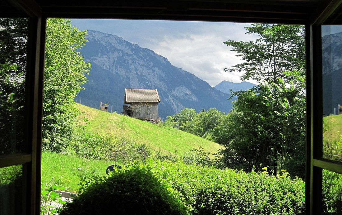 Ausblick