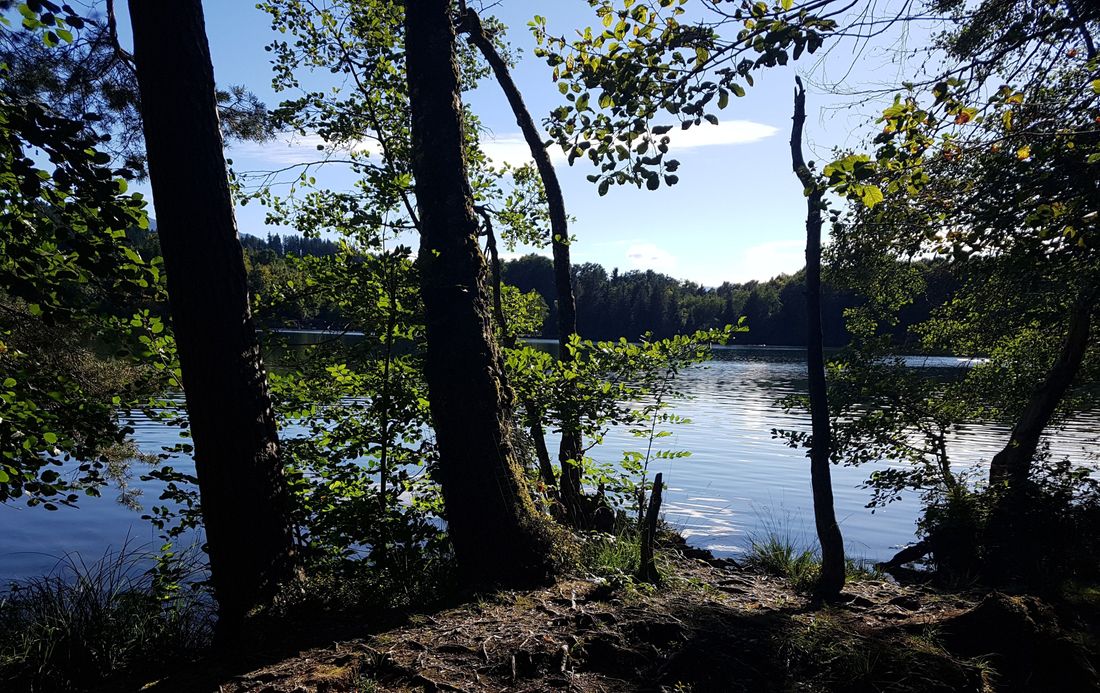 Tüttensee