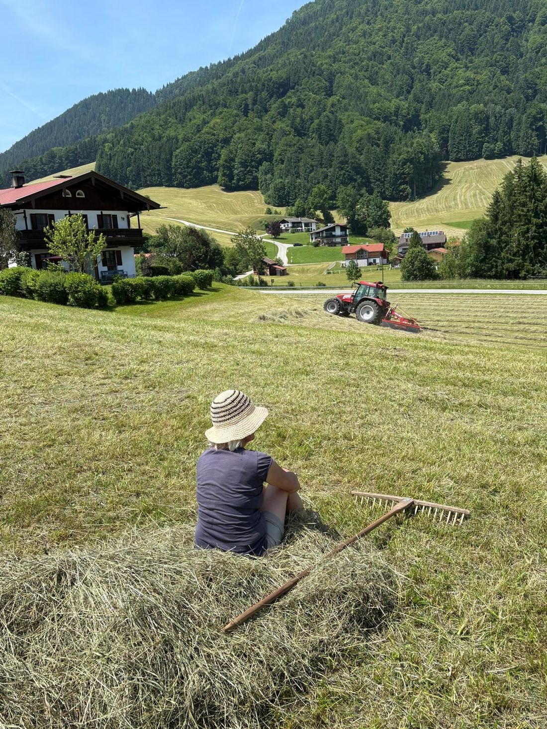 Heuernte rund ums Haus
