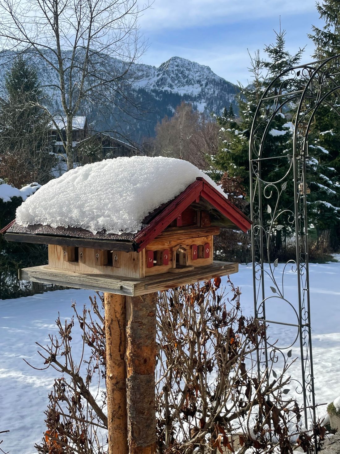 Vogelhäuschen im Garten