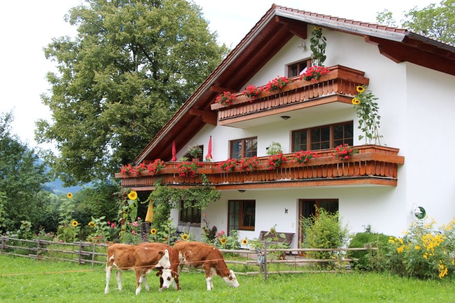 Natur rund ums Haus