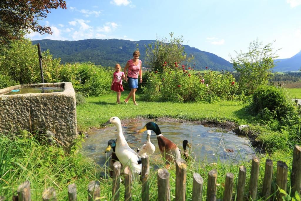 Enten