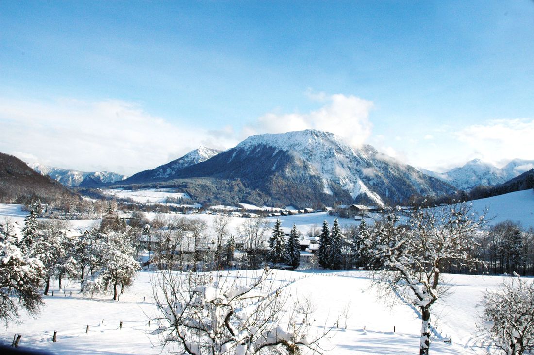 Blick von der Ferienwohnung