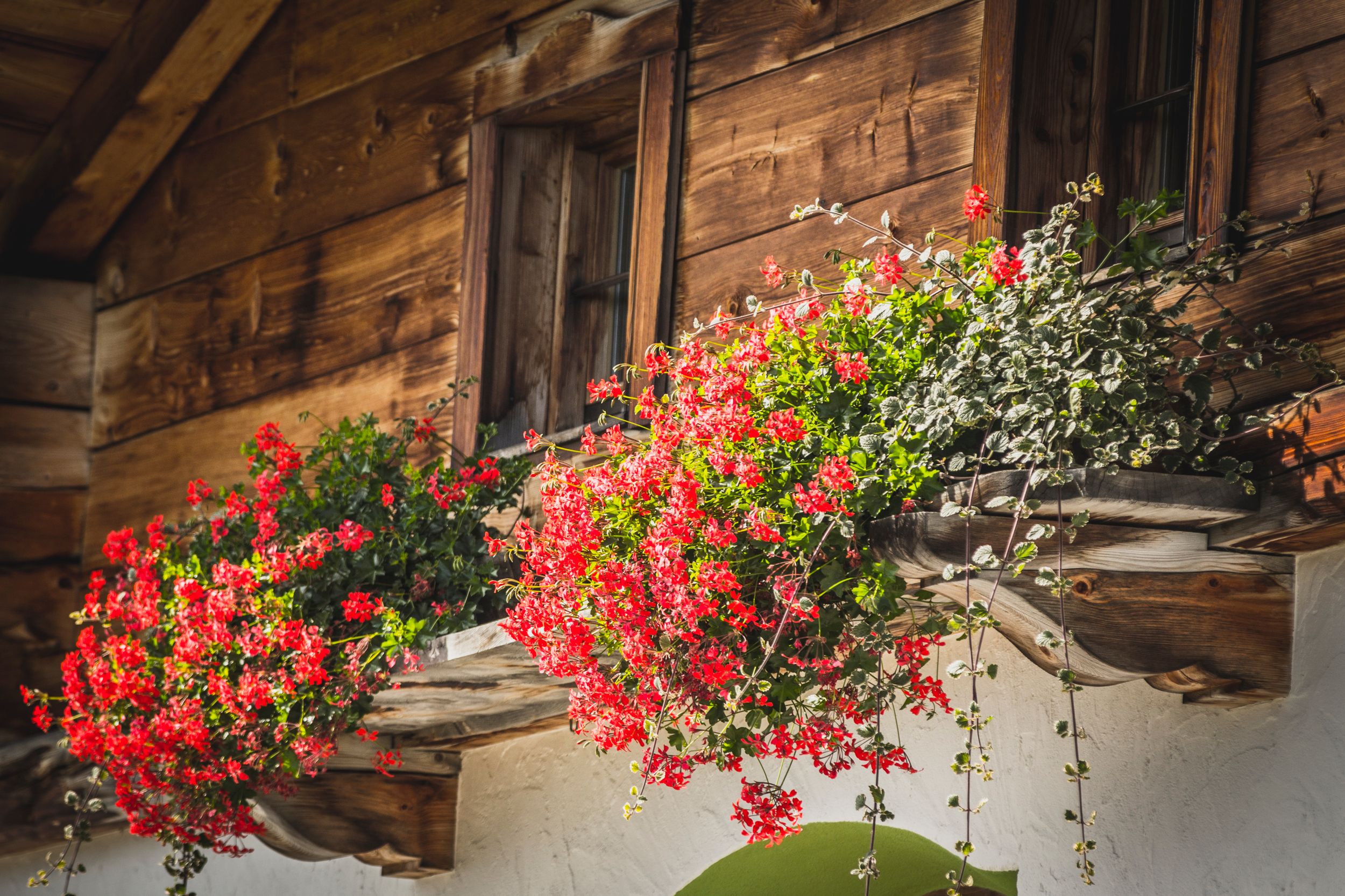 wandern_fs_2015_1-28_1